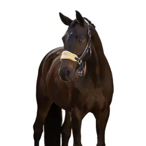 Licol pour cheval et longe LeMieux Vogue image-1