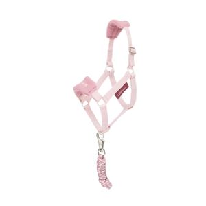product/l/e/lemieux_it06249001_blossom_1.jpg