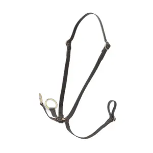 Ring martingale for Hobby Horse LeMieux