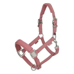 Halter for horse LeMieux Finesse image-0