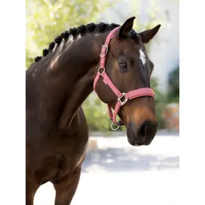 Halter for horse LeMieux Finesse image-1