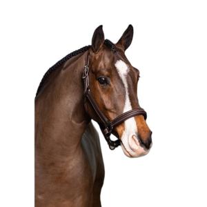 Quilted horse halter LeMieux Hunter image-1