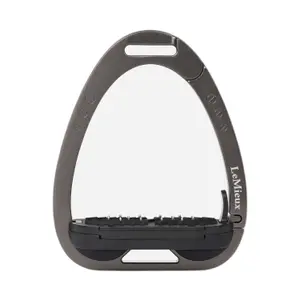 it06377001-reitsteigern-lemieux-vector-kohle-tu