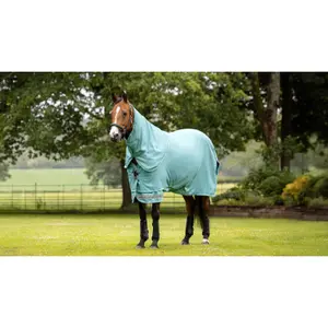Outdoor  Blanket LeMieux Arika Ripstop Turnout 0g image-0