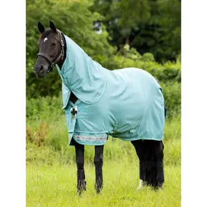 Outdoor  Blanket LeMieux Arika Ripstop Turnout 0g image-1