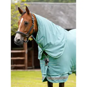 Outdoor  Blanket LeMieux Arika Ripstop Turnout 0g image-2