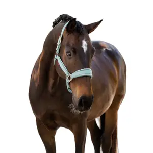 Licol pour cheval LeMieux Versailles image-1
