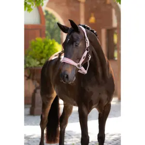 Halter for horse LeMieux Versailles image-1