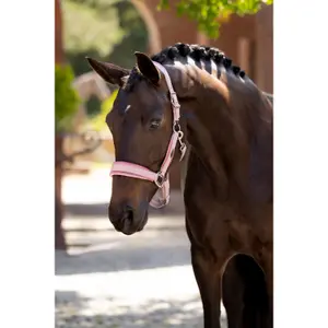 Halter for horse LeMieux Versailles image-2