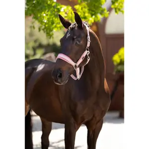 Halter for horse LeMieux Versailles image-3