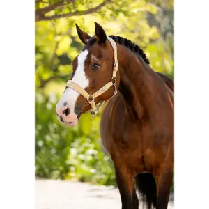 Halster för häst LeMieux Versailles image-1