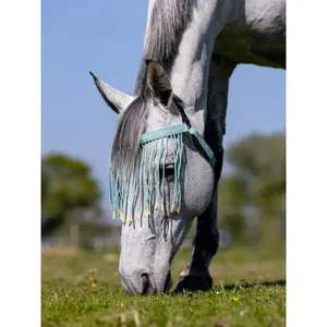 Fluemaske til heste LeMieux image-1