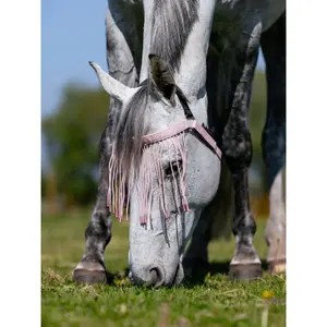 Fliegenmaske für Pferde LeMieux image-1