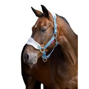 Czoło z futrem dla konia LeMieux Vogue image-1