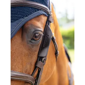 Lederen hoofdstellen LeMieux Havana image-0