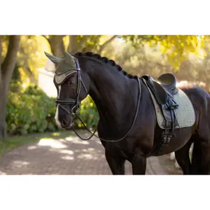 Kurze Mütze für Pferde LeMieux Classic image-1