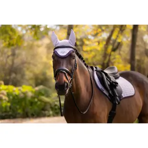 Kurze Mütze für Pferde LeMieux Classic image-4