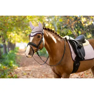 Kurze Mütze für Pferde LeMieux Classic image-6