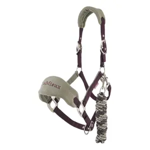 Halter and lead rope set for horse LeMieux Vogue