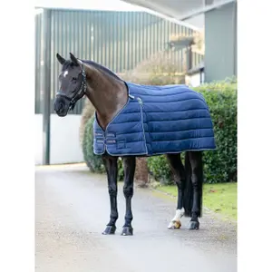 Undercover voor paarden LeMieux Kudos 200g image-2