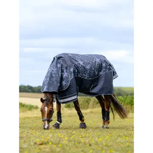 Couverture d'extérieur pour cheval imperméable LeMieux Arika Star 200g image-2