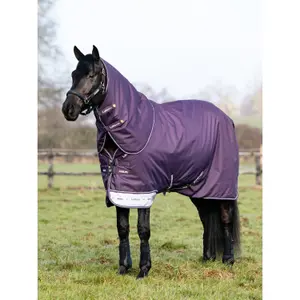 Couverture d'extérieur pour cheval imperméable LeMieux Arika 0g image-2