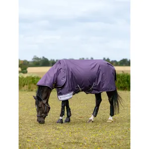 Couverture d'extérieur pour cheval imperméable LeMieux Arika 0g image-3