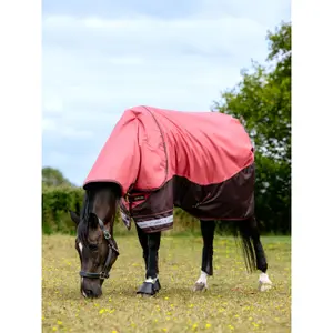 Couverture d'extérieur pour cheval imperméable LeMieux Arika 100g image-2