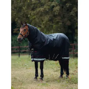 Waterproof  Blanket LeMieux Arika Storm-Tek 100g image-3