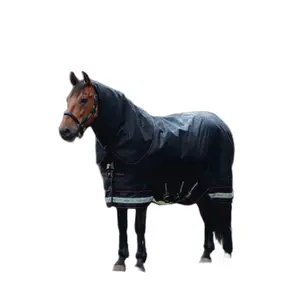 Waterproof  Blanket LeMieux Arika Storm-Tek 200g image-1