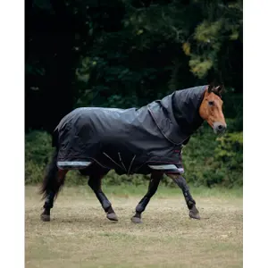 Waterproof  Blanket LeMieux Arika Storm-Tek 200g image-2