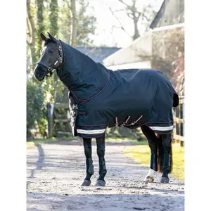 Waterproof  Blanket LeMieux Arika Storm-Tek 200g image-3