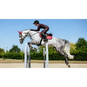 Χαλάκι CSO LeMieux Square Loire Classic image-1