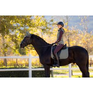 Dressage saddle pad for horses LeMieux Suede Square image-1