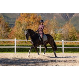 Dressage saddle pad for horses LeMieux Suede Square image-3