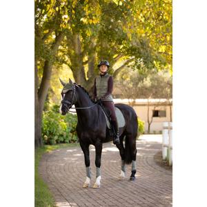 Dressage saddle pad for horses LeMieux Suede Square image-6