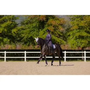 Dressage saddle pad for horses LeMieux Suede Square image-1