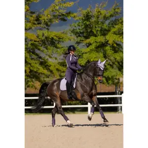 Dressage saddle pad for horses LeMieux Suede Square image-4