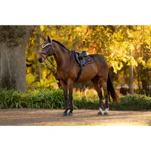 Spring underlag LeMieux Loire Classic GP Square image-3