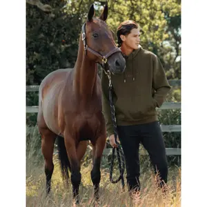 Hooded riding sweatshirt LeMieux Alpine image-3