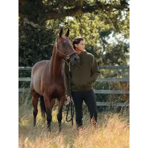 Hooded riding sweatshirt LeMieux Alpine image-4