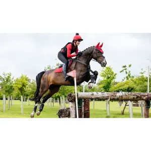 Tapis de CSO LeMieux Close Contact image-2