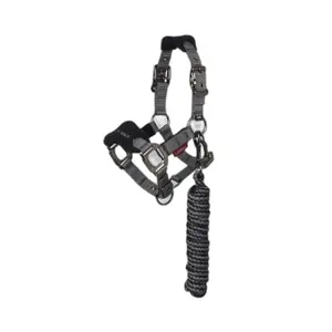 Halter and lead rope for horse LeMieux Mini Vogue image-0
