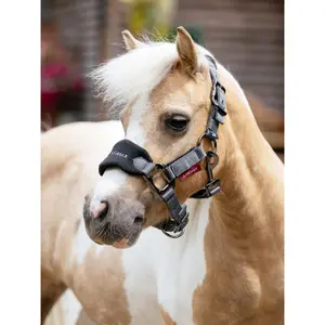 Halter and lead rope for horse LeMieux Mini Vogue image-1