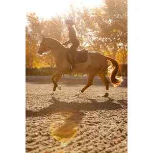 Tapis de CSO LeMieux Finesse Square image-1