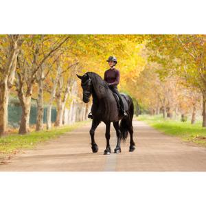 Tapis de dressage pour cheval LeMieux Finesse Square image-1
