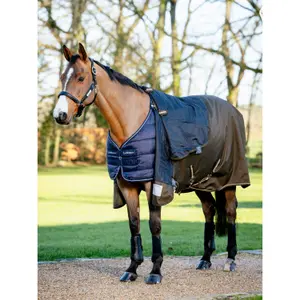 Sous-couverture pour cheval LeMieux Arika 50g image-2