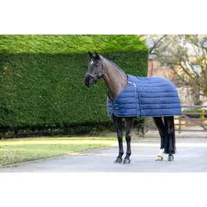 Undercover LeMieux Kudos 50g