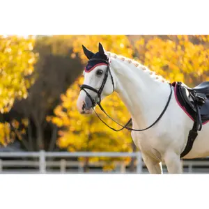 Kurze Mütze für Pferde LeMieux Classic image-4