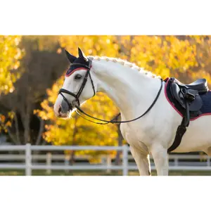 Kurze Mütze für Pferde LeMieux Classic image-5